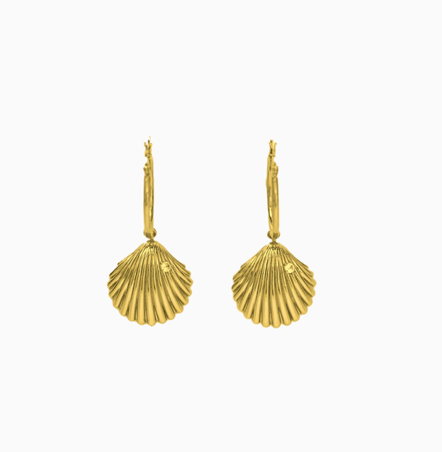 Shell-bound Earrings